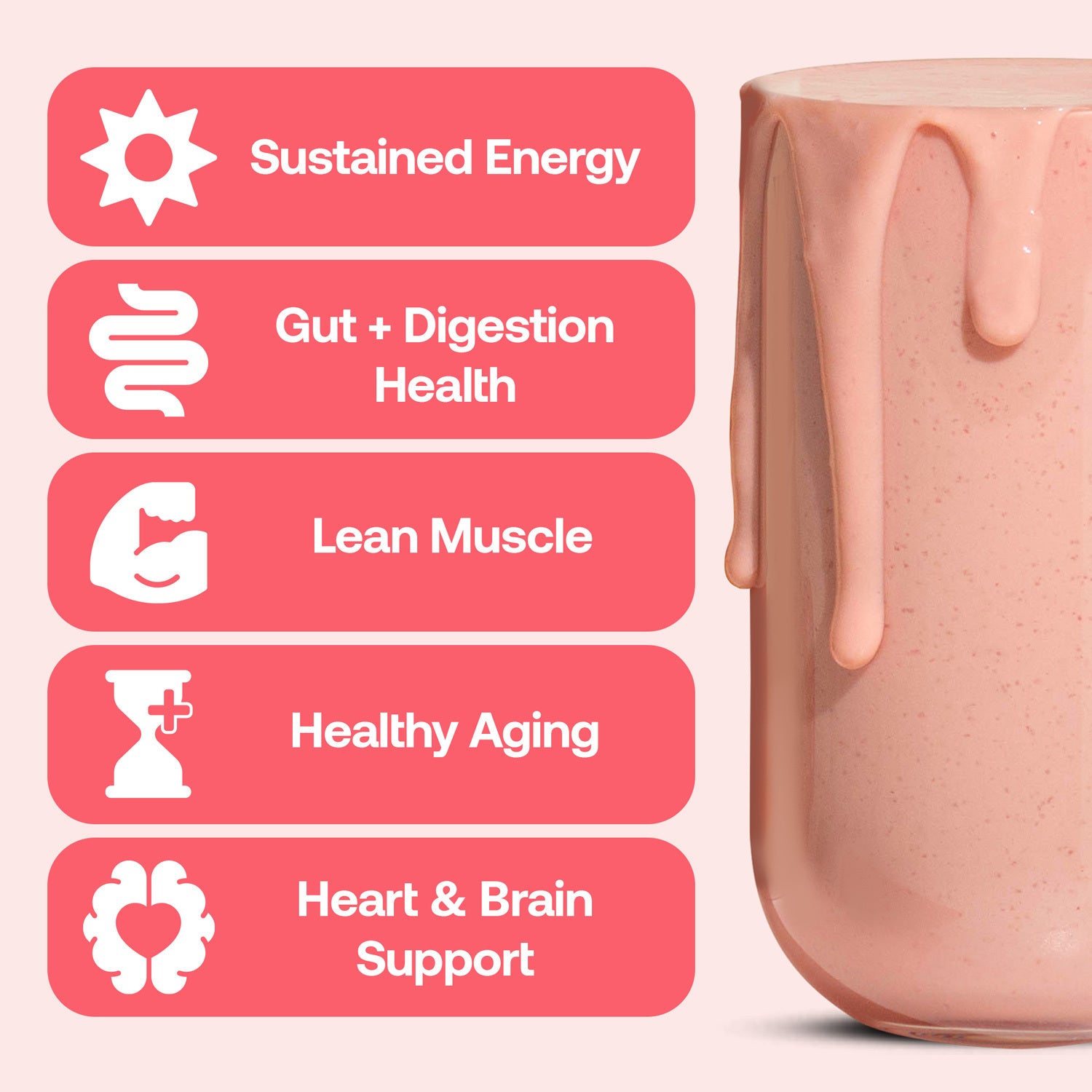 High Protein Meal Replacement by Venus Williams – Happy Viking