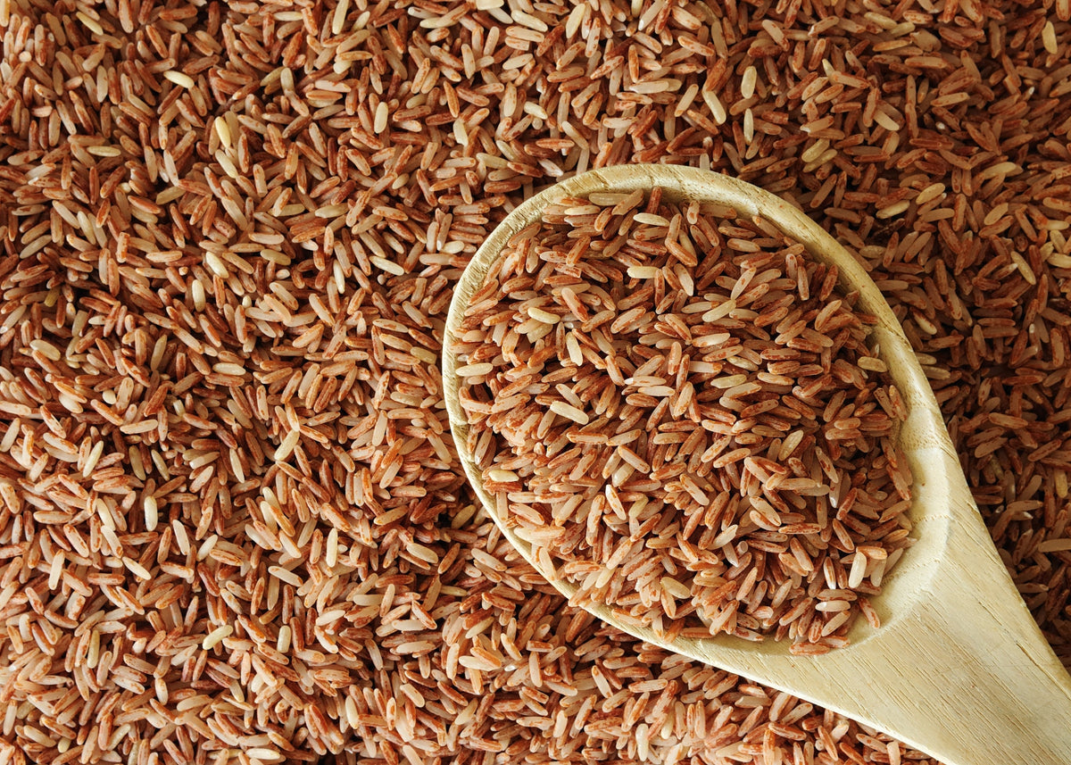 Brown Rice Protein Benefits: Why It's a Great Plant-Based Protein