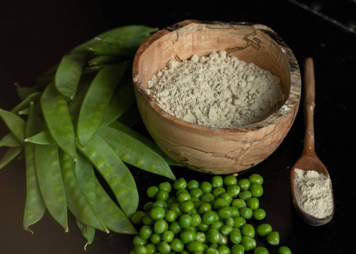Pea Protein vs. Whey: Which Is Better for Women?